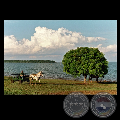 LAGO ITAIPU Y CARRITO - Fotografía de FERNANDO ALLEN